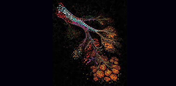 Visualisation of part of the breast map