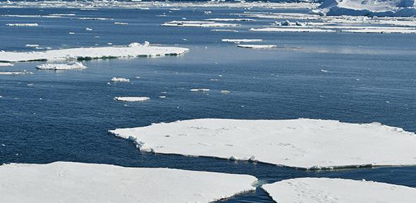 Ice shelves in the Bellinghausen Sea, Antarctica, taken onboard the R/V Falkor (too) in 2025, Credit: Laura Cimoli Ice shelves in the Bellinghausen Sea, Antarctica