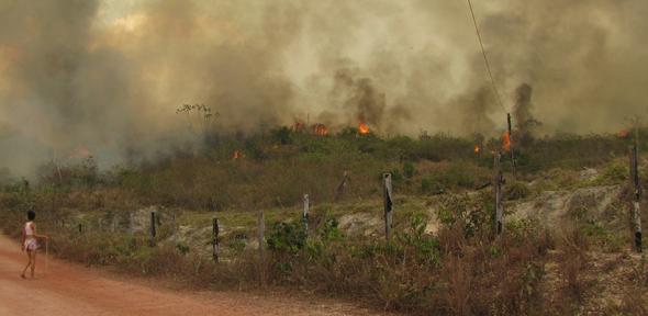 Fire in the Brazilian Amazon, Credit: Federico Cammelli Fire in the Brazilian Amazon