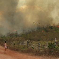 Fire in the Brazilian Amazon
