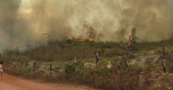 Fire in the Brazilian Amazon