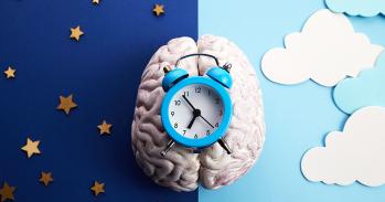 Illustration of circadian rhythms