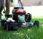 A lawnmower cutting grass 