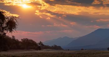 Sub-Saharan landscape