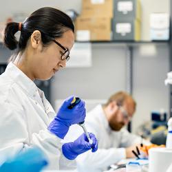 Scientists in a Cambridge lab