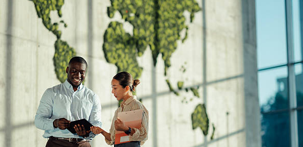 Institutional partnerships and networks.